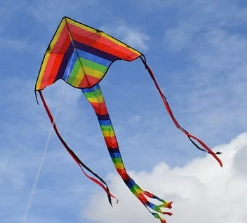 Kite