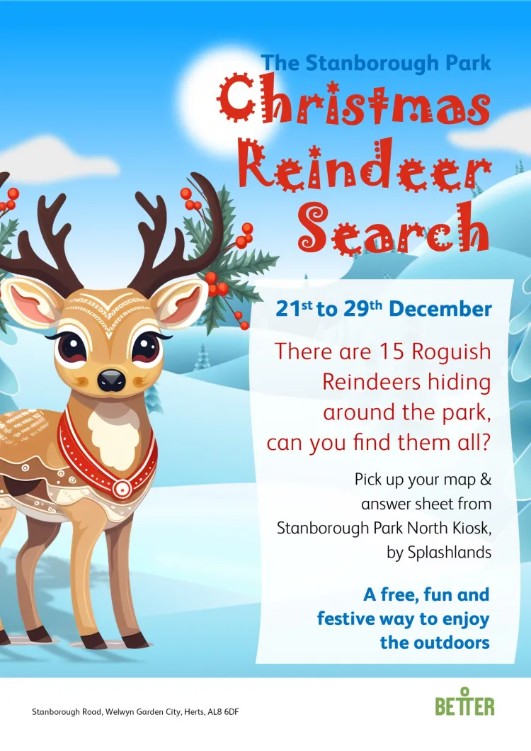 Christmas Reindeer Search