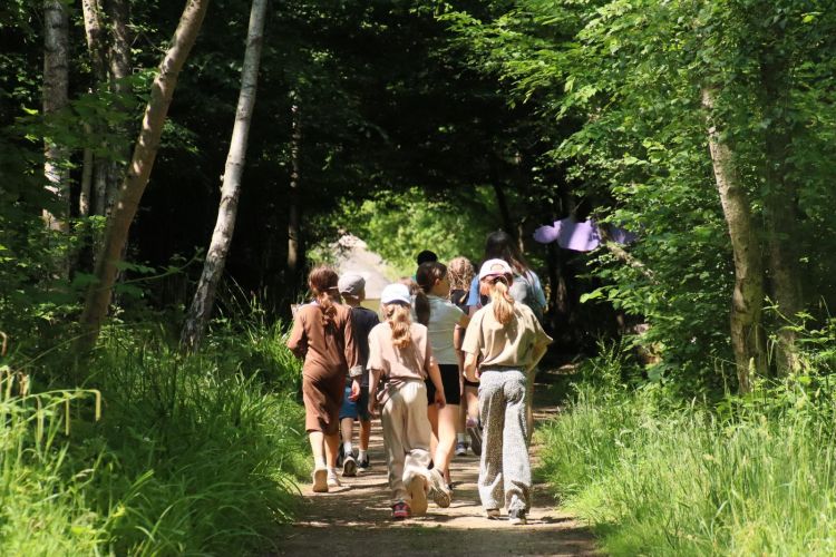 Rewild your Summer Experience