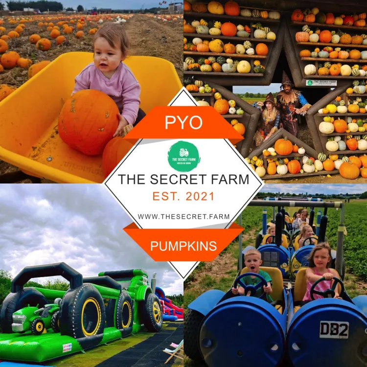 Secret Pumpkin Farm