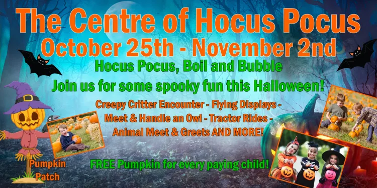 Halloween on the Farm