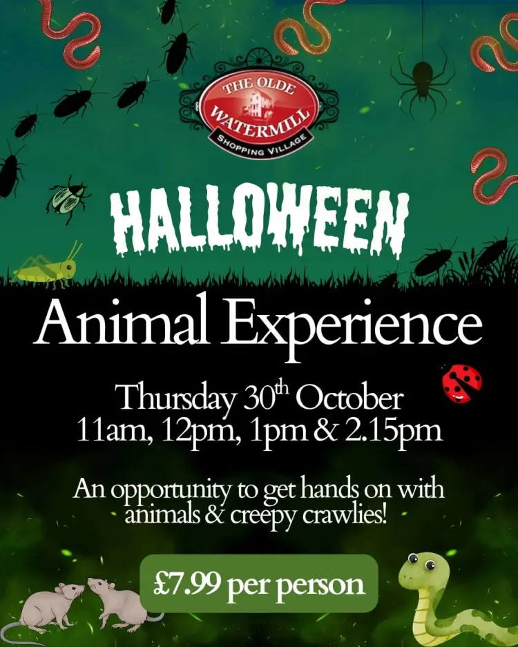 Halloween Animal Experience